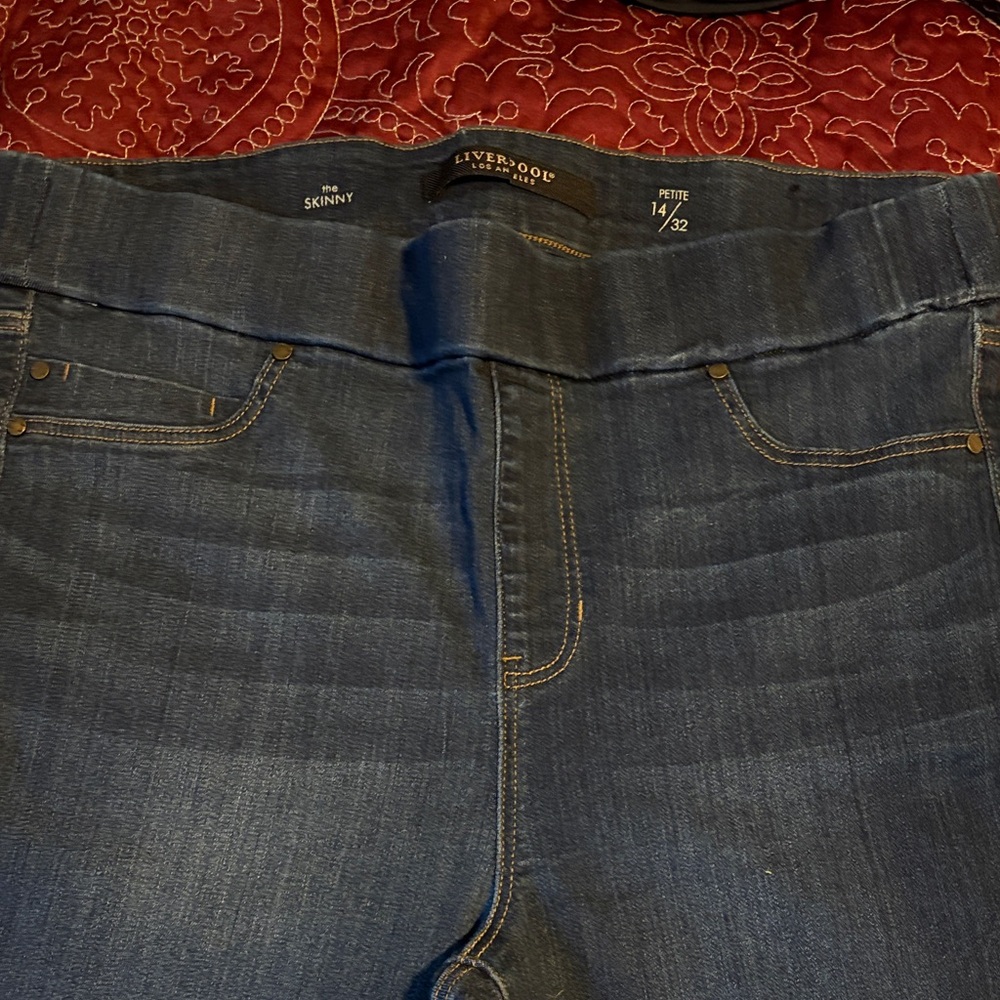 Liverpool Dark Blue Women's Skinny Jeans - Picture 3 of 4